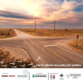 Con le zampe nel posto più lontano